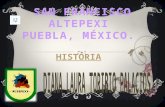 Presentación de Altepexi Puebla