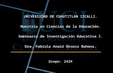 Investigacion educativa. 2424