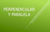 Perpendicular y paralela