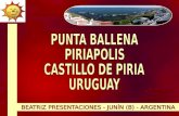 Punta ballena piriápolis castillo de piria uruguay