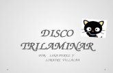 Disco trilaminar