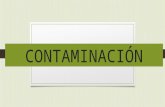 Contaminación (corrección )