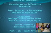 Internet y Población NEE Costa Rica