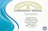 Comunidad andina