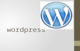 Wordpress samm