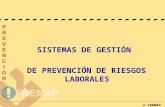 Normas ohsas-18001 prevencion de riesgos laborales (1)