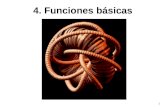 4 funciones basicas