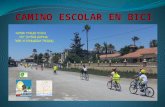 Camino Escolar en Bici curso 14/15