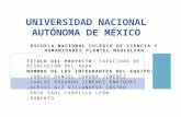 Universidad nacional autónoma de méxico pppp