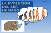 Power hominización