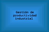 Gestión de productividad industrial
