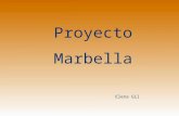 Proyecto Marbella
