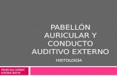 Histología del Pabellón Auricular y Conducto Auditivo Externo