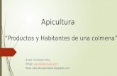 Apicultura: Productos y habitantes de una colmena