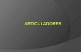 Articuladores 110809204327-phpapp01