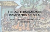 Formas económicas de dominación colonial