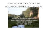 Agustìn bernal fundación zoológica de aguascalientes, a