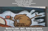 Nutrición de Adolescentes. Caso Las Casitas. Municipio Spinetti Dini, Mérida. Venezuela. 2009