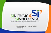 Presentación de Resultados Sinergia Sinaloense 2012