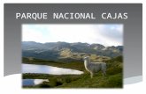 Parque nacional cajas
