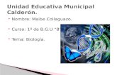 Unidad Educativa Municipal Calderón. Biología.