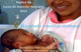 El cuidado intensivo neonatal v2.0