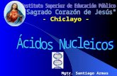 Acido nucleicos.s.a