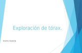 Exploracion torax