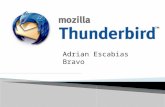 ThunderBird - AdrianEscabias