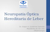 Neuropatía Optica Hereditaria de Leber
