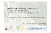 Marco institucional y jurídico de la evaluación ambiental: El marco socio-institucional