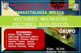 VECTORES MECANICOS Y BIOLOGICOS