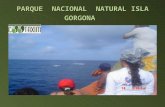 COOTAXIM PORTAL TURÍSTICO DEL EJE CAFETERO DESTINO Parque  Nacional  Natural Isla Gorgona  desde CALI COLOMBIA, COMPLEMENTO EN EL SITIO YOUTUBE