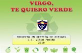 Proyecto en Gestión 2010 - Virgo te quiero verde.