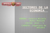 Sectores de la economía