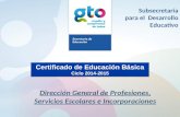 Certificados EDUCACIÓN BÁSICA 2015