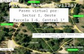 Parque Amate (Sevilla): itinerario botánico por la parcela I-6 (Central 1º de Mayo)
