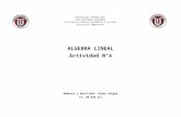 Actividad 4 Algebra Lineal