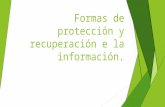 protección y recuperación e la información