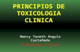 Toxicologia Principios de Toxicologa Clnica 1203452348250582 5