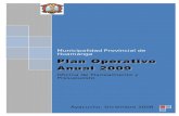 Plan Operativo Anual 2009