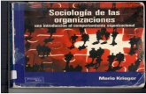Sociologia de las organizaciones uuuu.pdf