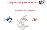 5.Biomoleculas Organicas (1)