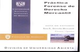 Practica Forense de Derecho Mercantil Area X-Derecho Mercantil