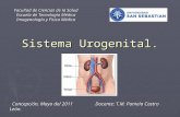 10 Sistema Urogenital
