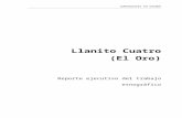 Reporte Ejecutivo Llanito Cuatro Gerardo