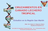 CRUZAMIENTOS EN GANADO LECHERO TROPICAL2.pdf