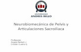 Neurobiomecanica de Pelvis