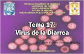 Tema 17 Virus de La Diarrea