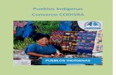 Pueblos Indígenas - Convenio CODISRA